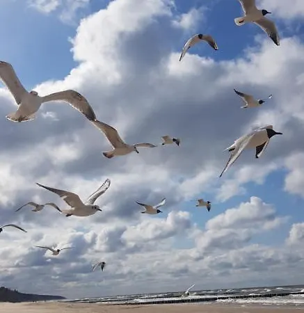 Pinea Baltic - Double Sea View - Z Widokiem Na Morze Przy Plazy Z Dostepem Do Strefy Basenow I Saun Διαμέρισμα Pobierowo